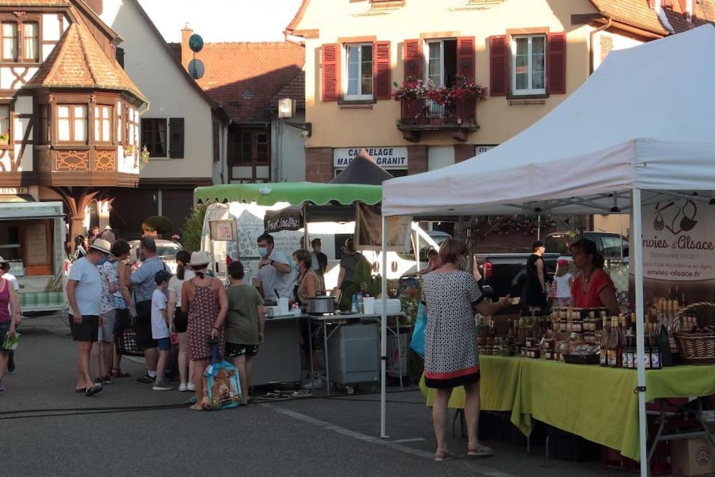Ville Centre - Gite Le Villois - Au Coeur De L'Alsace 外观 照片