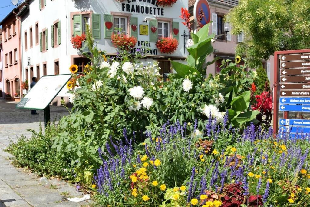 Ville Centre - Gite Le Villois - Au Coeur De L'Alsace 外观 照片