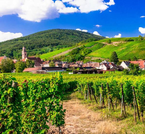 Ville Centre - Gite Le Villois - Au Coeur De L'Alsace 外观 照片