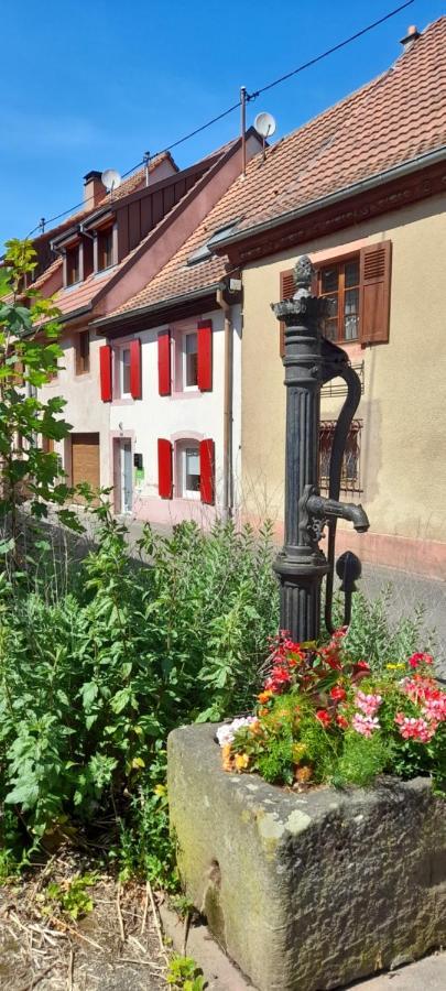 Ville Centre - Gite Le Villois - Au Coeur De L'Alsace 外观 照片